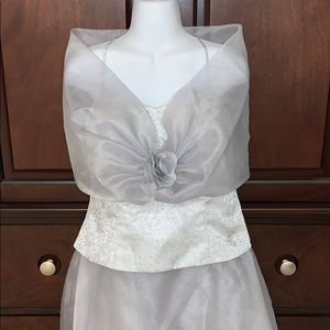 Silver gray organza dress